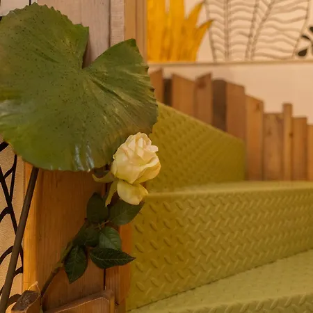 아파트 Winehouse Mouzaki-Ροδίτης *